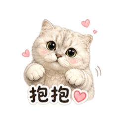 Q寶慵懶系列