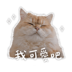 奶綠半糖少冰