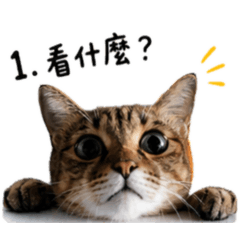臭mi miu