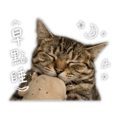 彭小咪