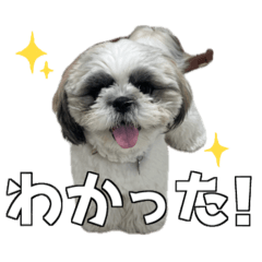natsuki_20260503194706