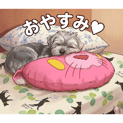 DOGMIMI1954