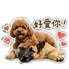瑪薩與黑嘴
