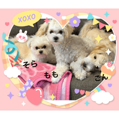 kazoku_20260513204447
