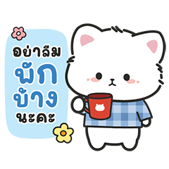 manee cat white cat2