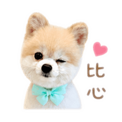 喬虎❤️