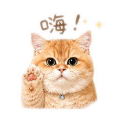 Auri醬的悠閒日常