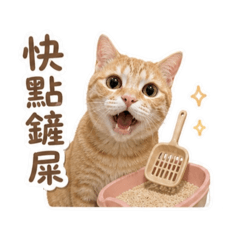 可愛橘喵Nagi