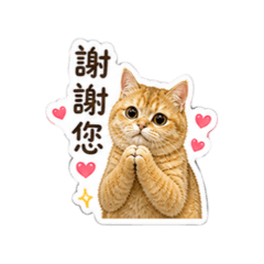 咪露～part3