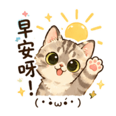 萌貓柚柚
