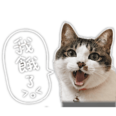樂樂小美女公舉