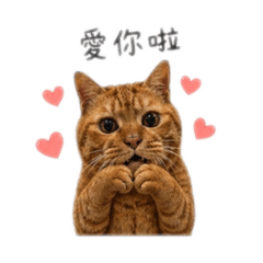 菜菜のㄖˋㄔㄤˊ