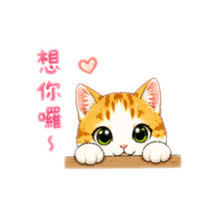 橘貓問候語