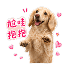 哇系最可愛妮妮