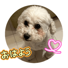 sakuuumarooo_20260513210558