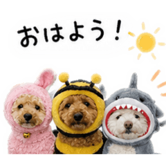 sango_20260513193801