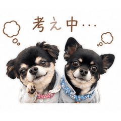Ma-Ra-Yu_20260513192348
