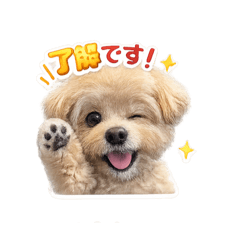 casmin_20260513211157