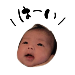 ayamaru_20260517120308