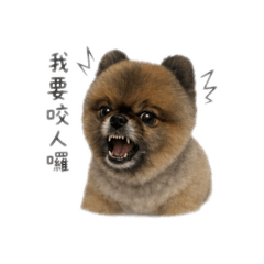 三大惡犬之首