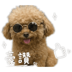 黑糖的進擊！