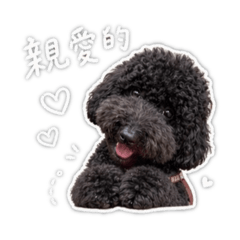 ＊我是貝果＊
