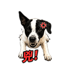 嘟嘟兇