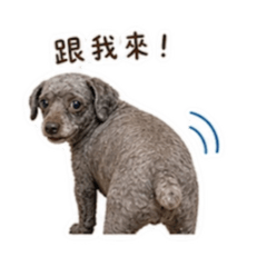 ㄑㄧㄠˇ克力！