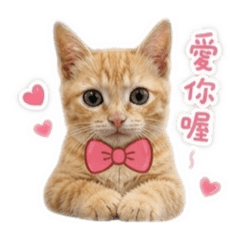 小六可愛貼圖