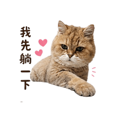 我可愛的阿布