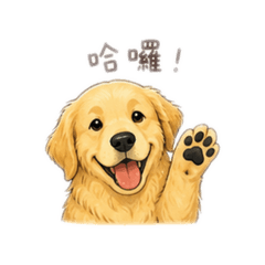 阿金的日常用語2