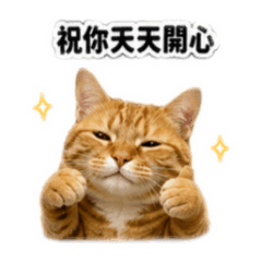 米家姐妹