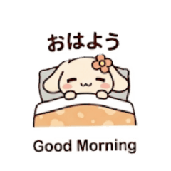 mii_20260503202757