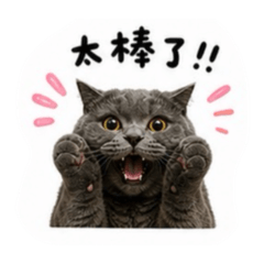 阿布布的可愛貼圖1