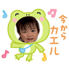 rento seta_20260513195547