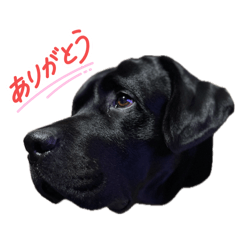 ayumiso_20260513195607