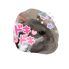 mi-tan_20260513200042
