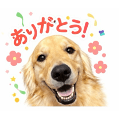 Coooocooooo_20260513200207