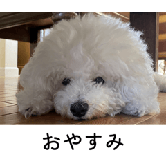 Chogumigu_20260513212918