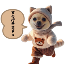 hakubee_20260513213809