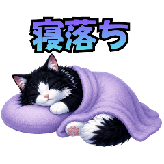 Fluffy Studio_20260513213107