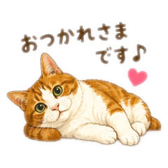 ayupommm_20260513213539