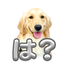 Ai.n_20260513213310