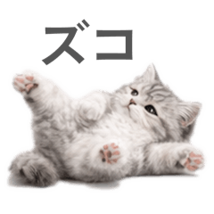 fuwa fuwa Tacchan vol.1