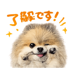 アポポポポ
