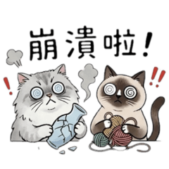 娜娜奶奶與星星の日常 EP.1