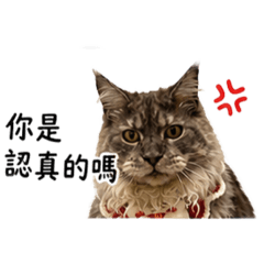 炭吉的毒舌攻擊