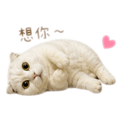 咪吉～