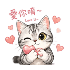 小碗碗❀