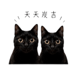 天天炭吉